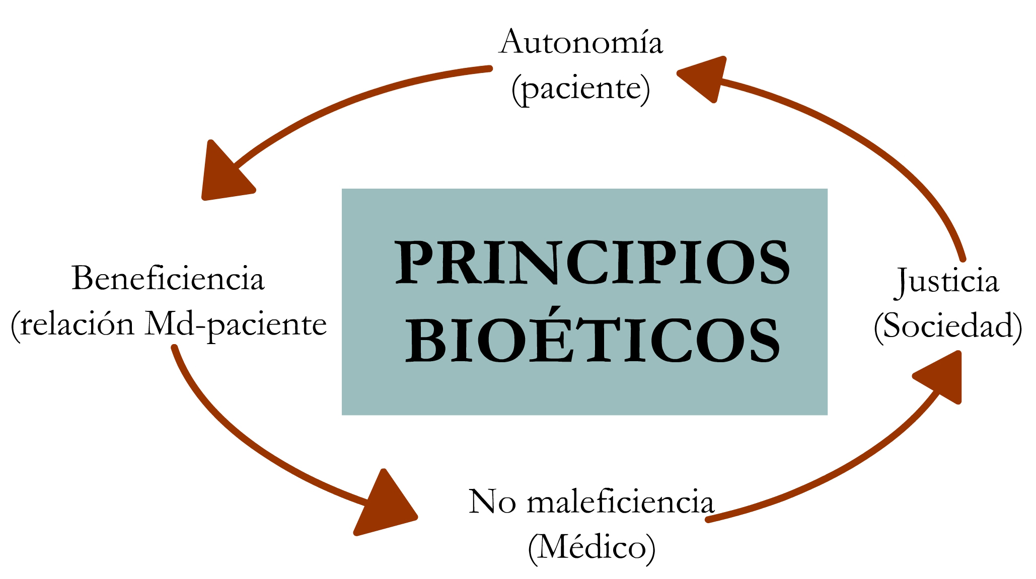 Bio2.jpg